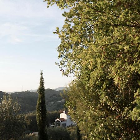 B&B La Fustaia Sarzana Bagian luar foto